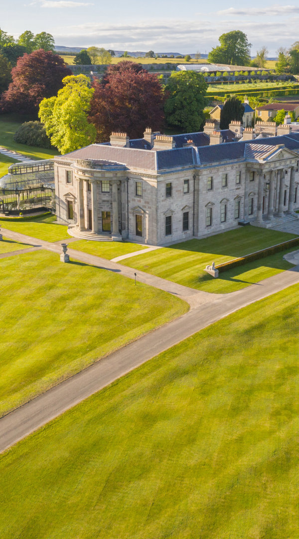 Ariel Shot Over The House, Naoise Culhane