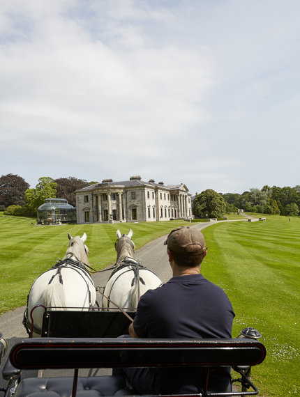 Horse & Carriage Experience
