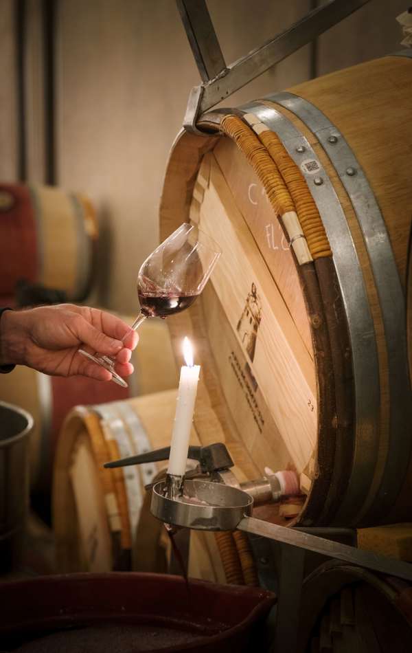 Latour ©Bricebraastad 20241029 91060.1 (1)
