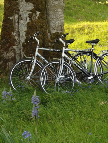 Bicycles & Buggies at Ballyfin Demesne