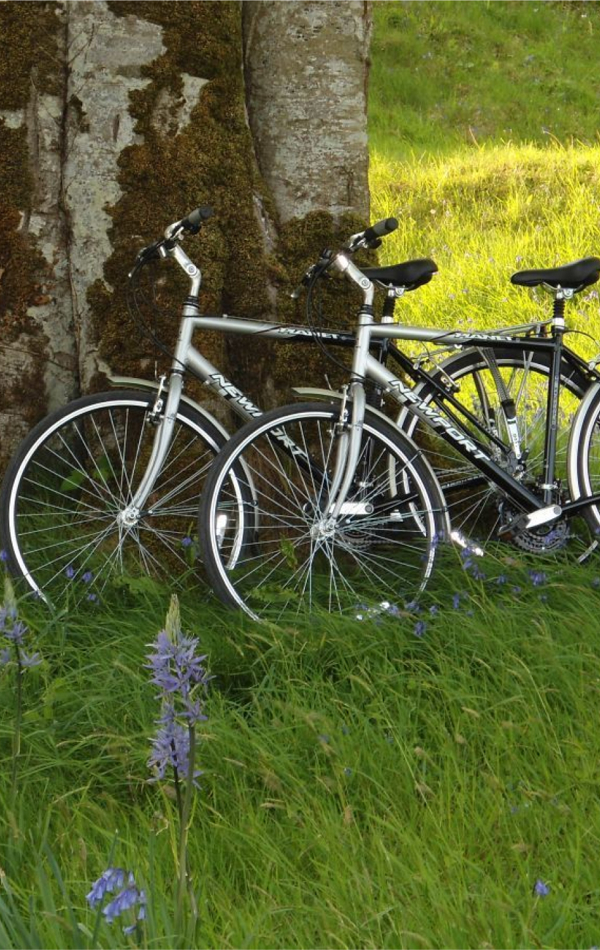 Bicycles & Buggies at Ballyfin Demesne