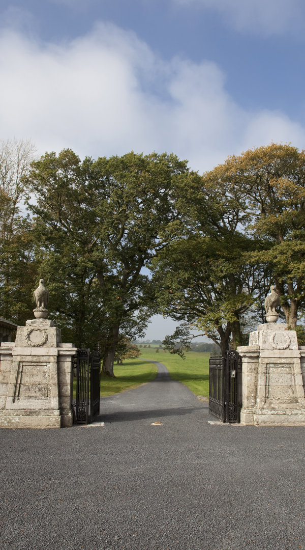 Ballyfin Main Entrance Gate (1)