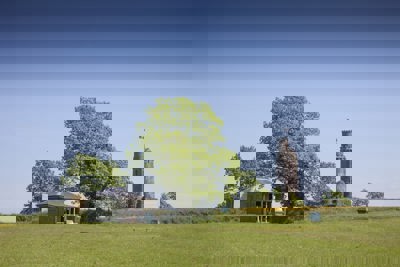 Ballyfin - Activities