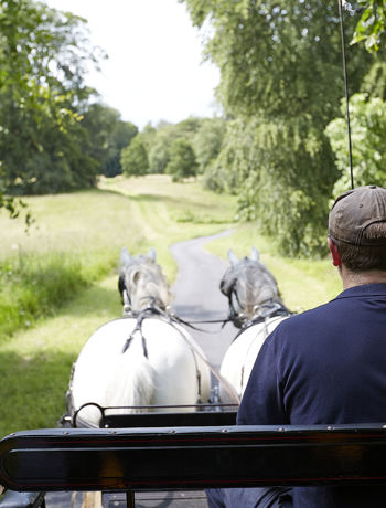 Ballyfin Outdoor Activities