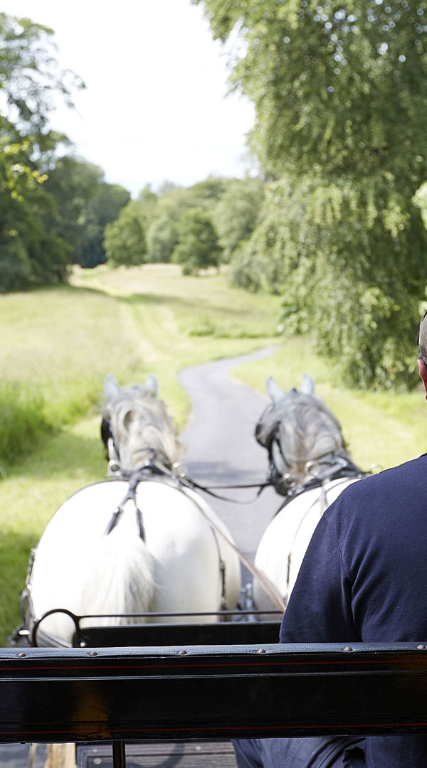Ballyfin Outdoor Activities