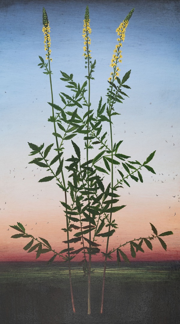 Amanuensis Michael Canning Oil On Canvas Mounted On Board 50 X 35 Cm 2021 2025