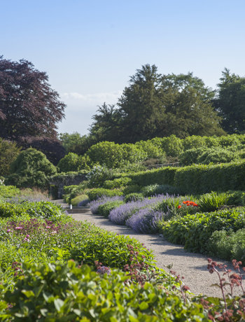 Ballyfin Exterior 108