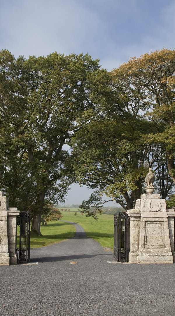 Ballyfin Exterior 116