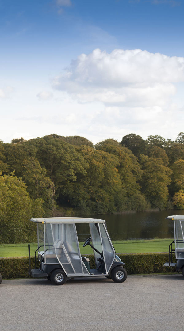 Golf Buggys