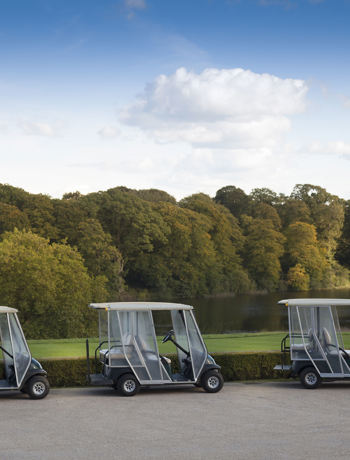 Golf Buggys