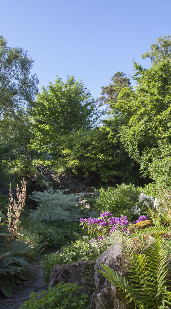 Ballyfin Exterior 107