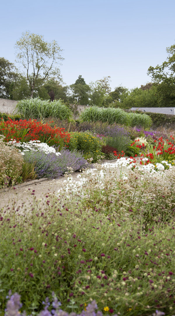 Walled Gardens (1)