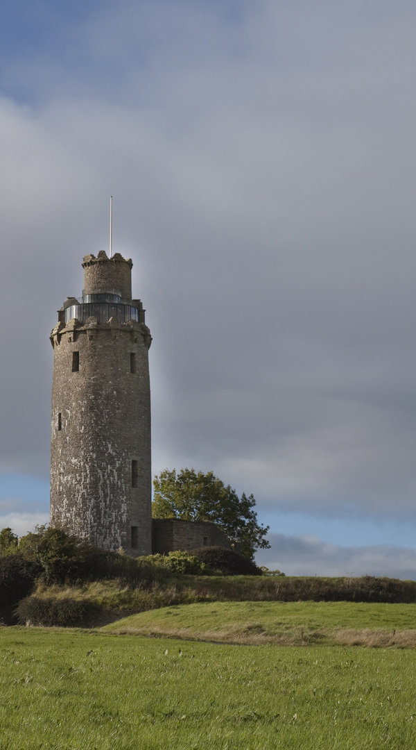 Ballyfin Exterior 114