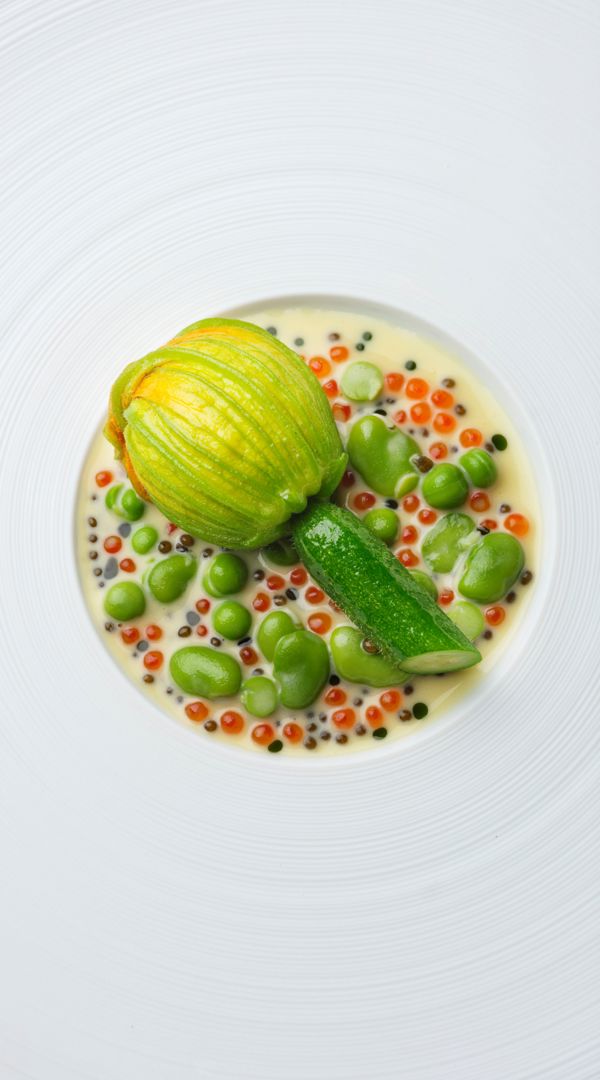 ©Jodihinds 250811 Ballyfin Courgetteflowerturbotcrab 08