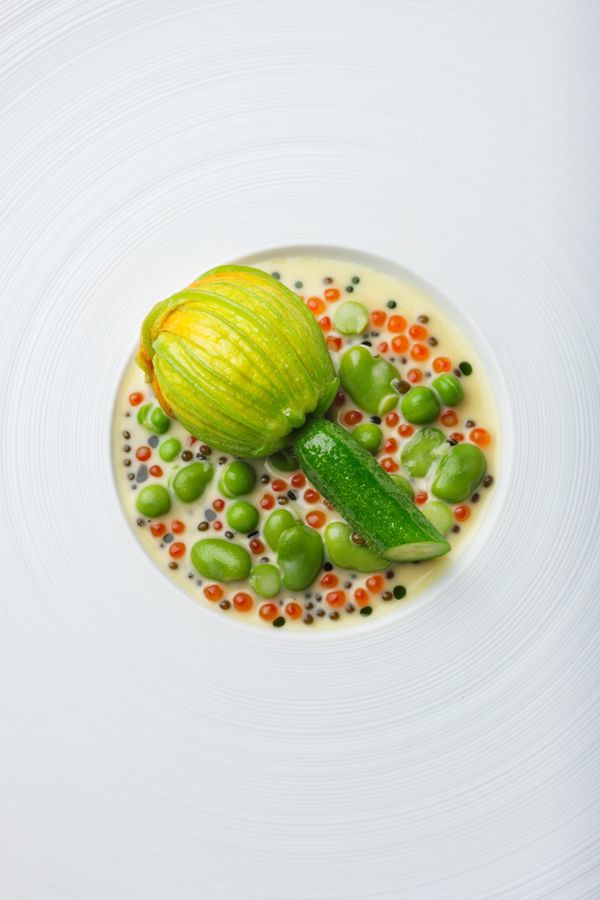 ©Jodihinds 250811 Ballyfin Courgetteflowerturbotcrab 08