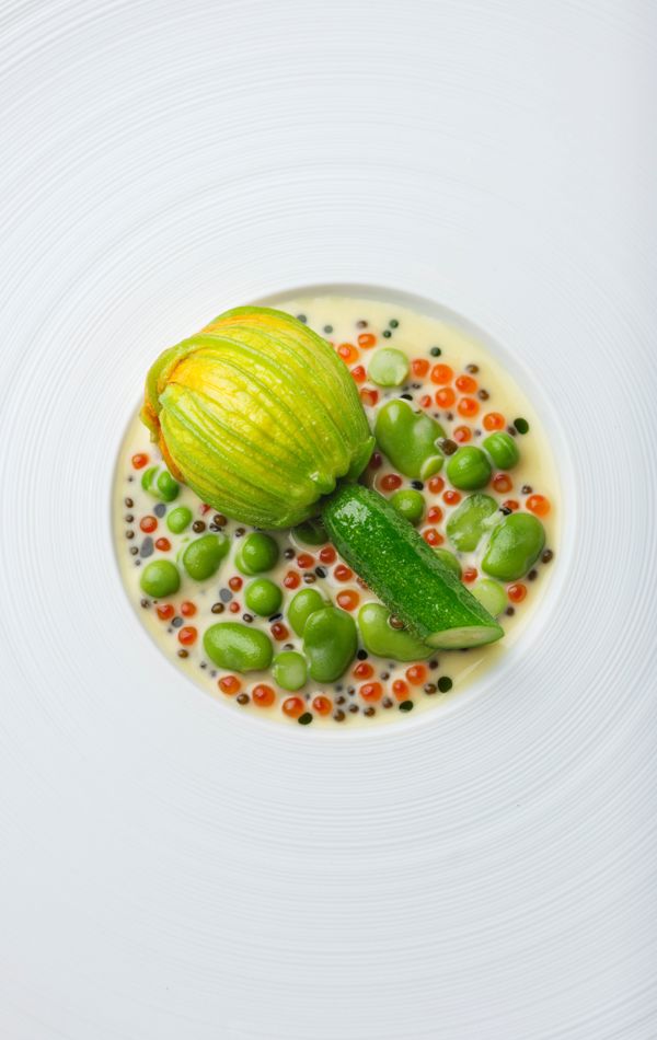 ©Jodihinds 250811 Ballyfin Courgetteflowerturbotcrab 08